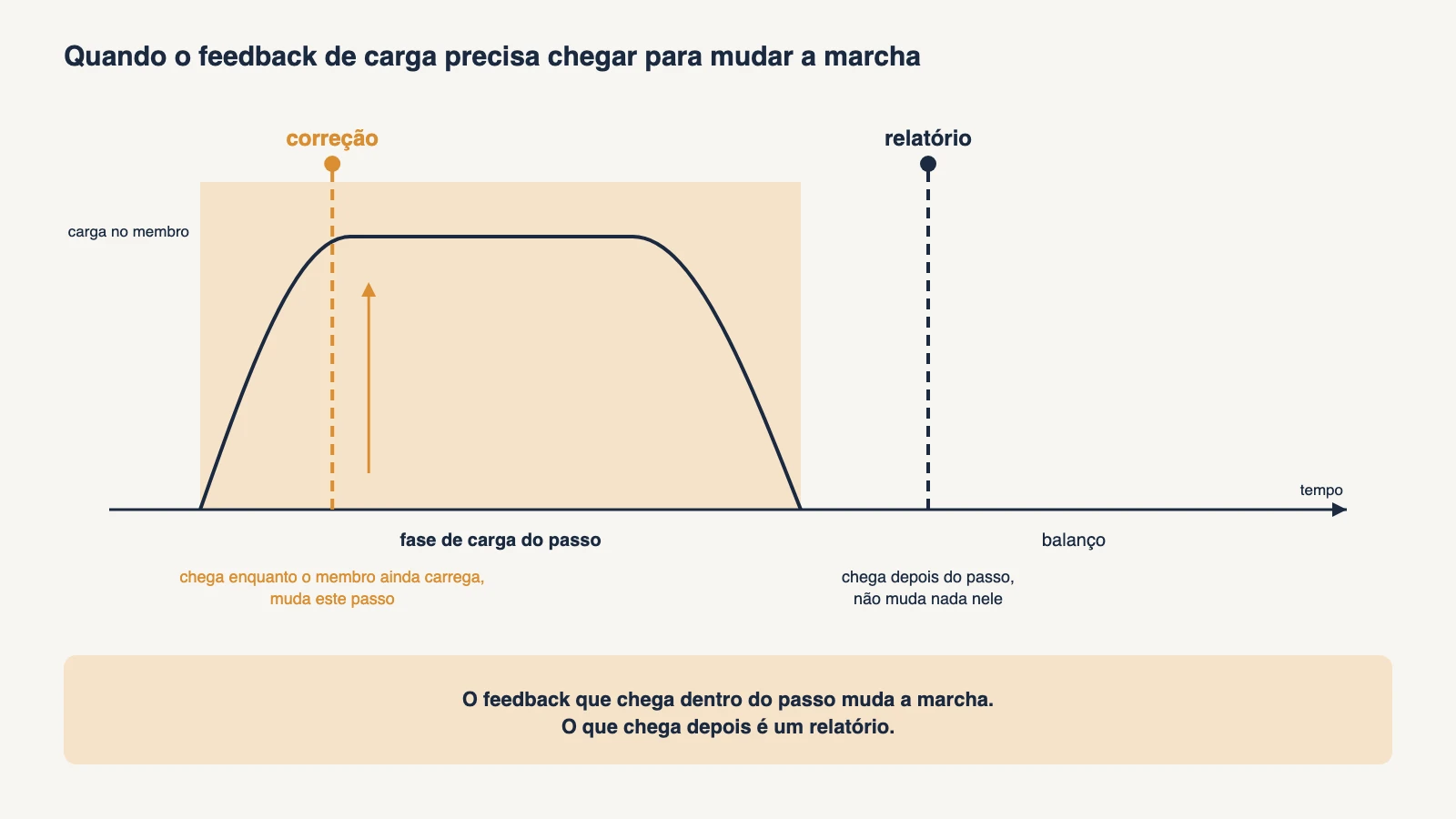 Diagrama de tempo de um passo mostrando a curva de carga no membro durante a fase de carga, com uma marca de correção dentro da fase de carga e uma marca de relatório depois do passo