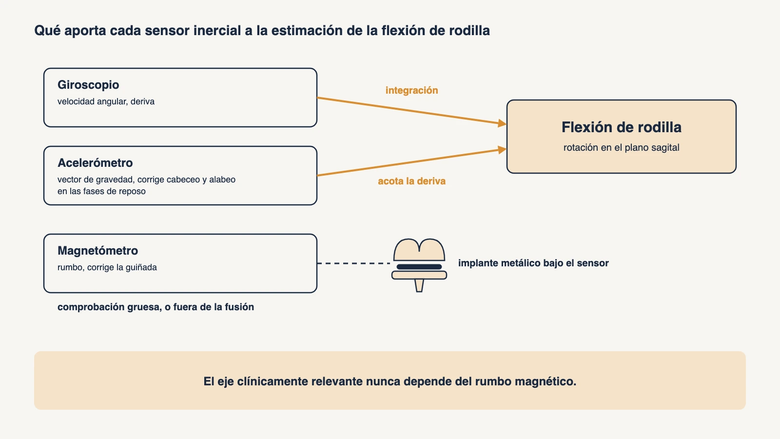 Diagrama de tres sensores inerciales y lo que aporta cada uno: el giroscopio da la velocidad angular, el acelerómetro corrige cabeceo y alabeo mediante la gravedad, el magnetómetro corrige la guiñada mediante el rumbo; las flechas del giroscopio y del acelerómetro llevan a la flexión de rodilla, y el magnetómetro queda apartado por el implante metálico que tiene debajo